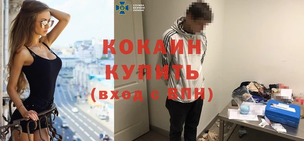 соль ск Богданович