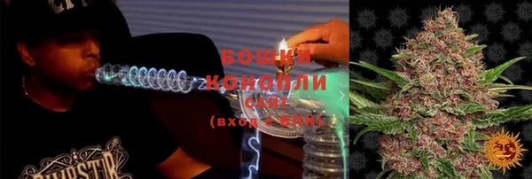 соль ск Богданович
