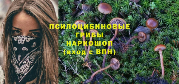 соль ск Богданович