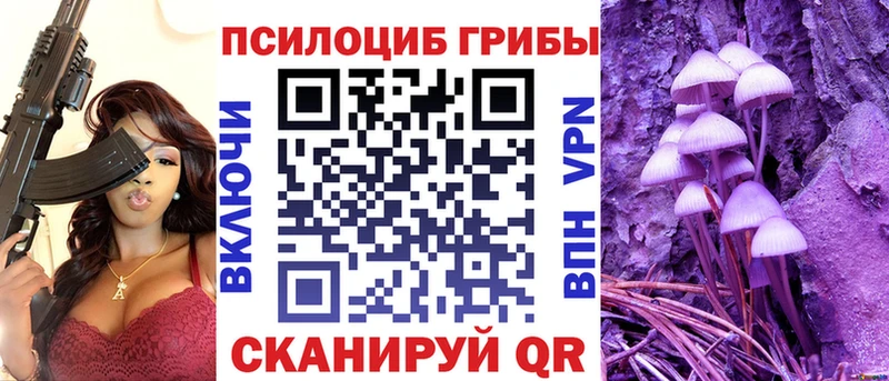 Галлюциногенные грибы Psilocybine cubensis  Купить  Луховицы 