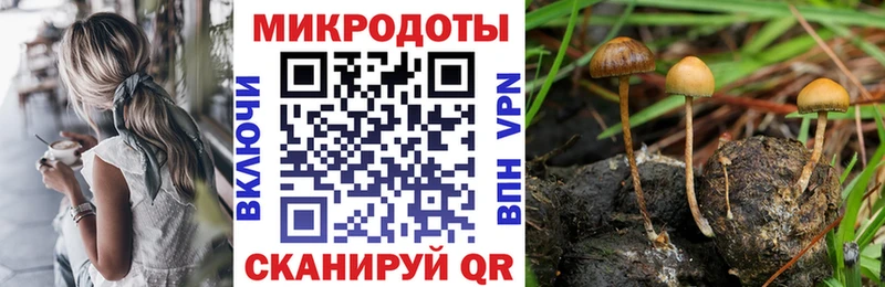 Псилоцибиновые грибы GOLDEN TEACHER Луховицы